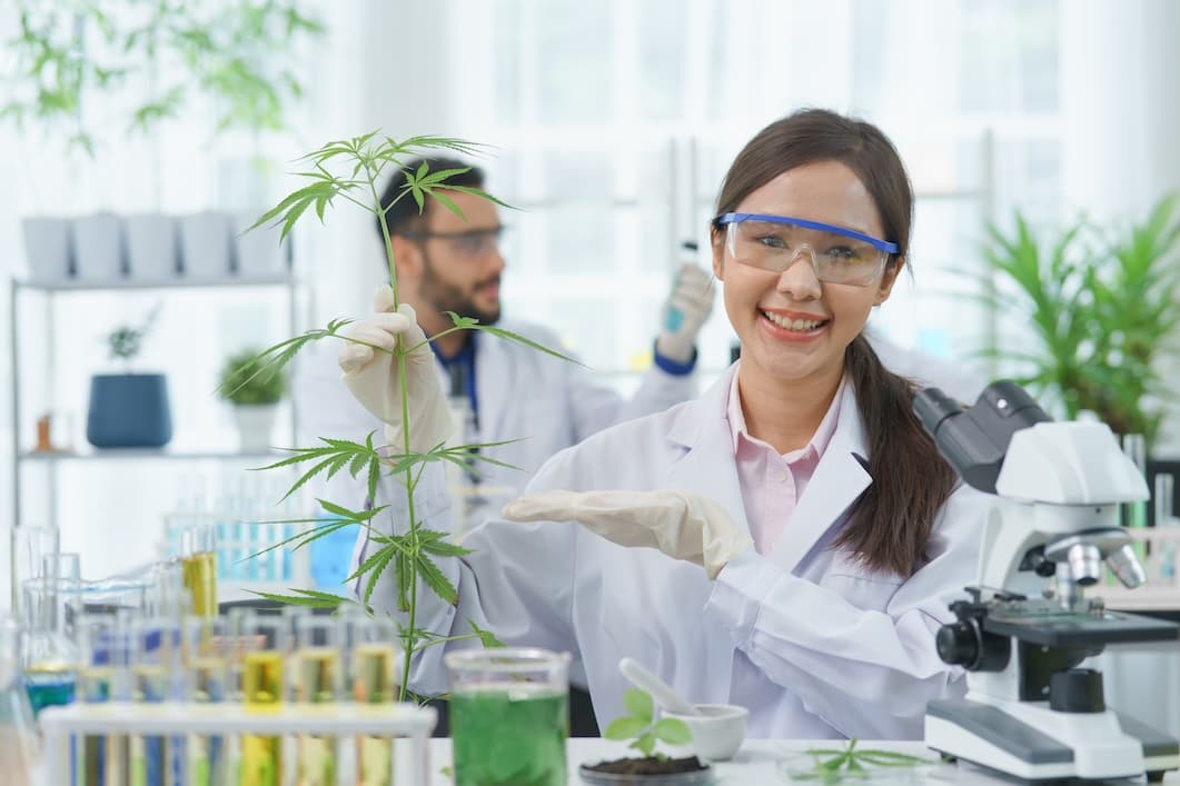 CBD merchant processing with PayKings