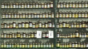 The Nutraceutical Industry