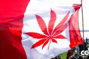 Medical Marijuana Merchant Account Solutions for Canada