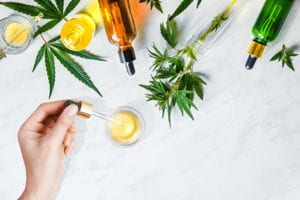 Paypal CBD Policy