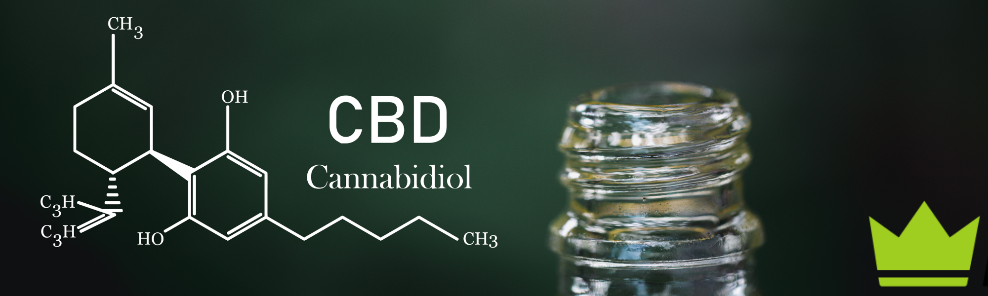 Looking for the best CBD payment processors?